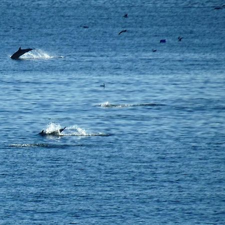 Rocachica Eden Beach 21 Τορρεμολίνος Εξωτερικό φωτογραφία